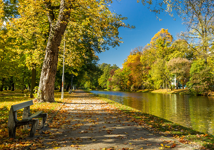 Mentale Gesundheit im Herbst - Apotheke Wien