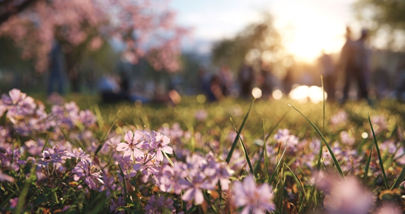 Beratung Allergien & saisonale Beschwerden in der Apotheke Wien
